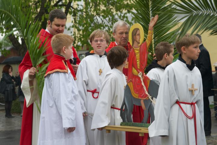 Palm (12)